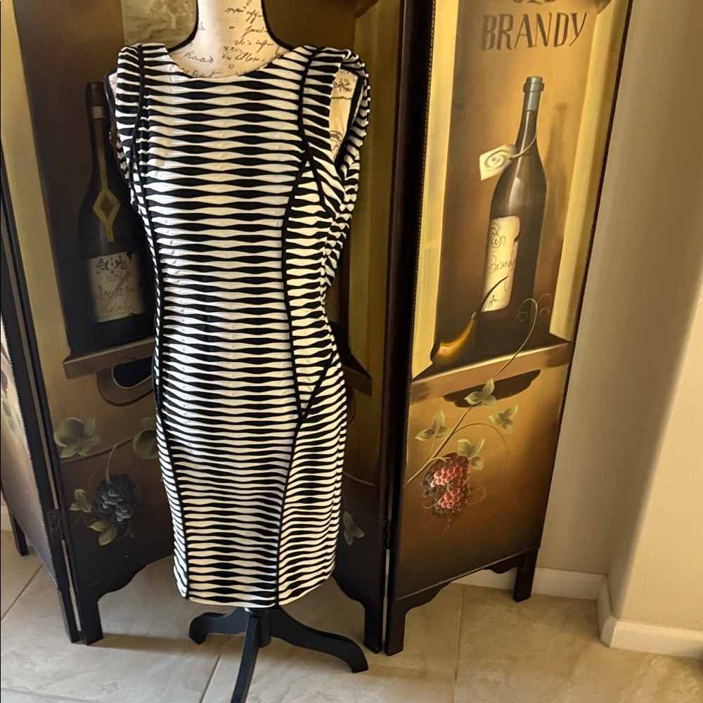 Beige by eci Black and White Striped Midi Dress